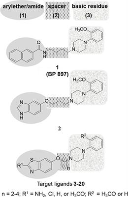 Synthesis, <mark class="highlighted">Molecular Properties</mark> Estimations, and Dual Dopamine D2 and D3 Receptor Activities of Benzothiazole-Based Ligands